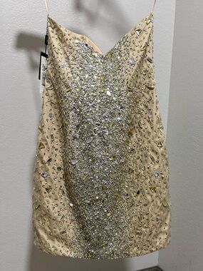 Terani Couture Nude- Black Branded Tags. PTP 16”, Length 33”